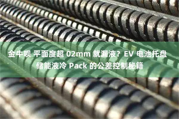 金牛呗 平面度超 02mm 就漏液?EV 电池托盘 储能液冷 Pack 的公差控制秘籍