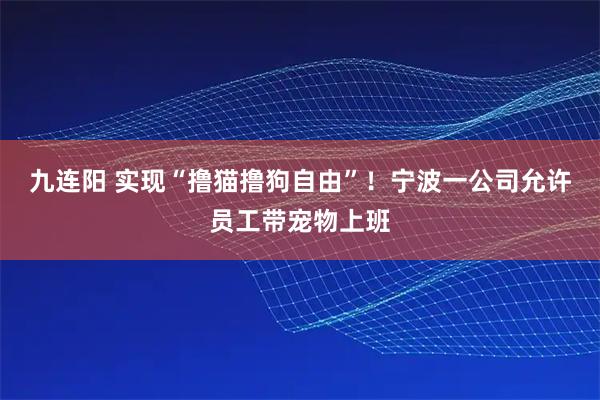 九连阳 实现“撸猫撸狗自由”！宁波一公司允许员工带宠物上班